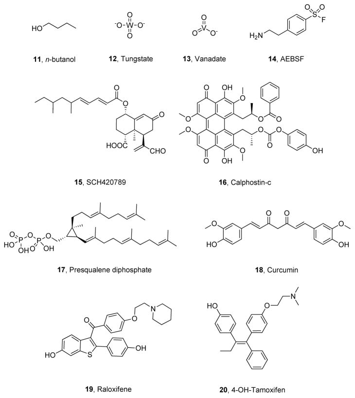 Figure 13