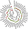 Fig. 2
