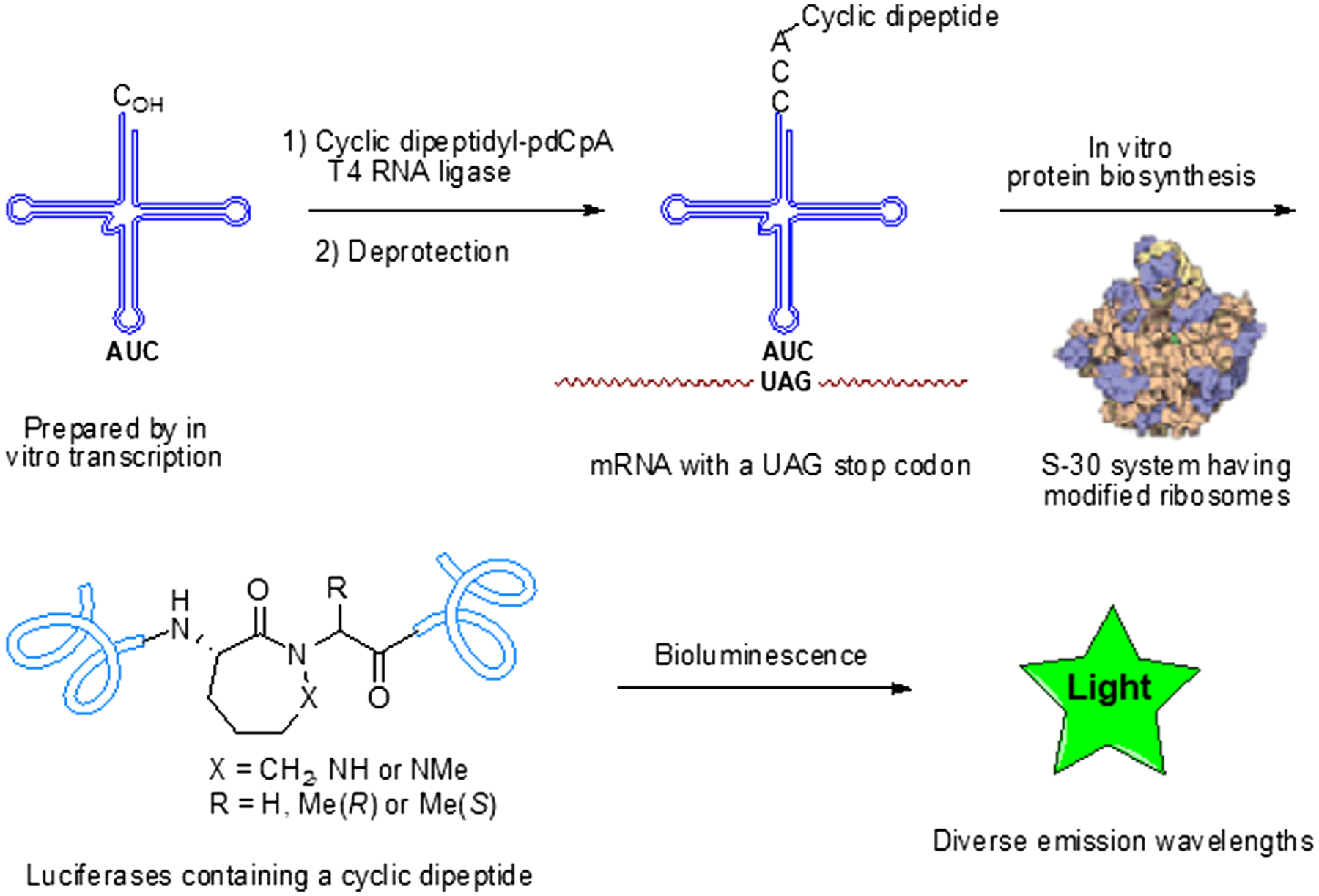 Figure 1 |