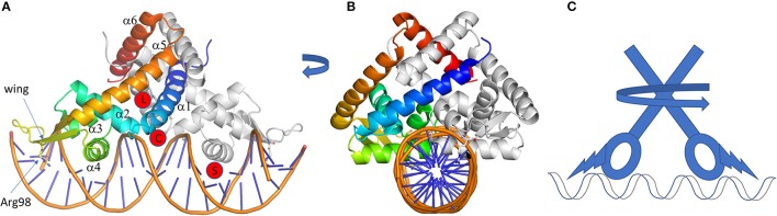 Figure 5