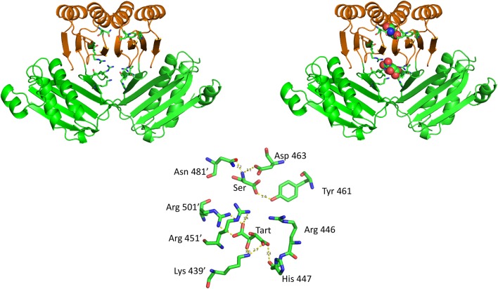 Figure 10