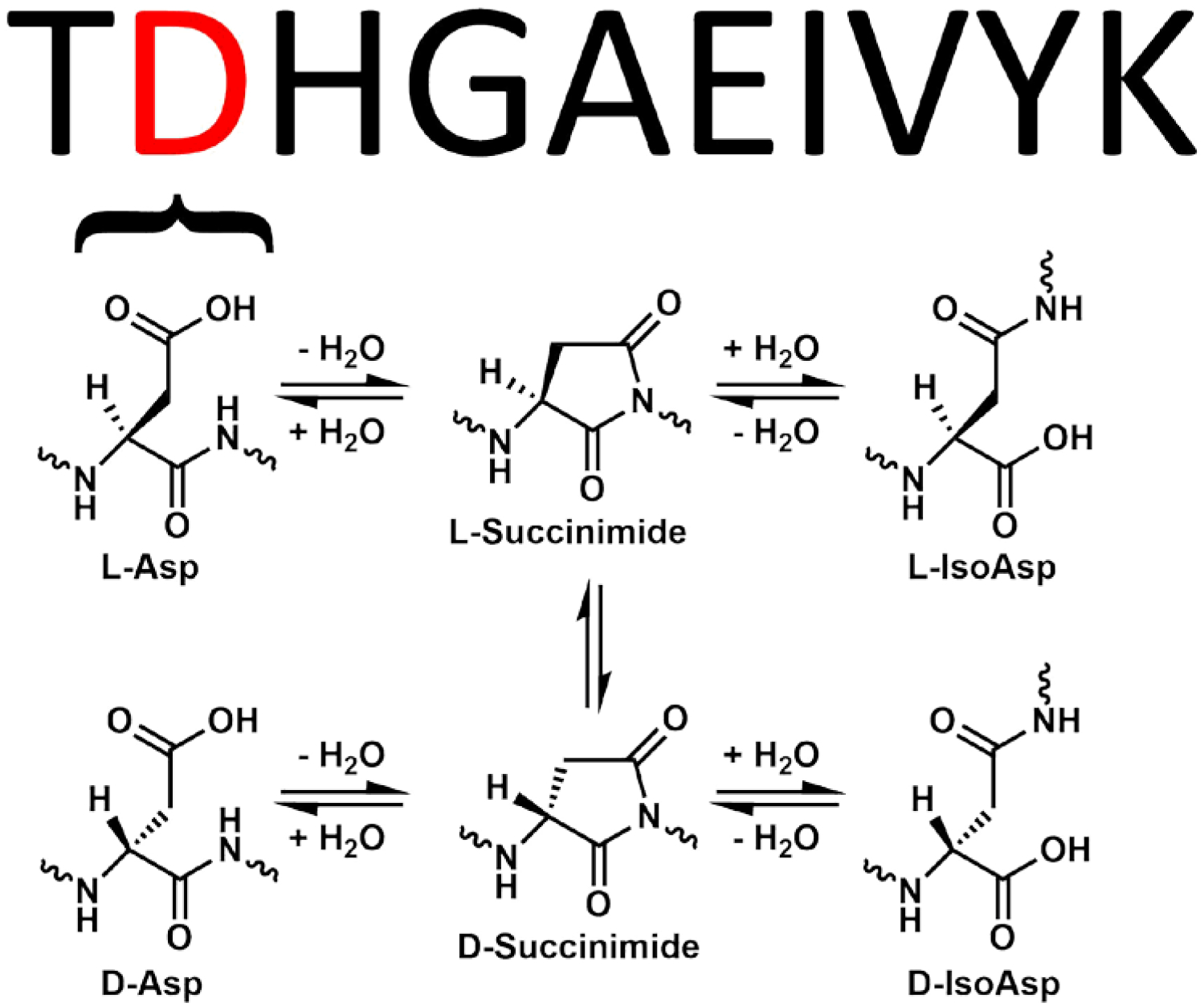 Scheme 1.