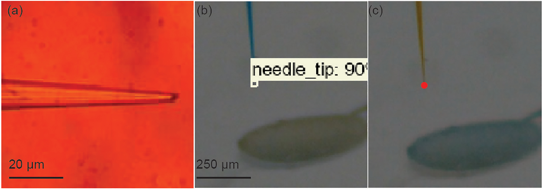 Figure 5: