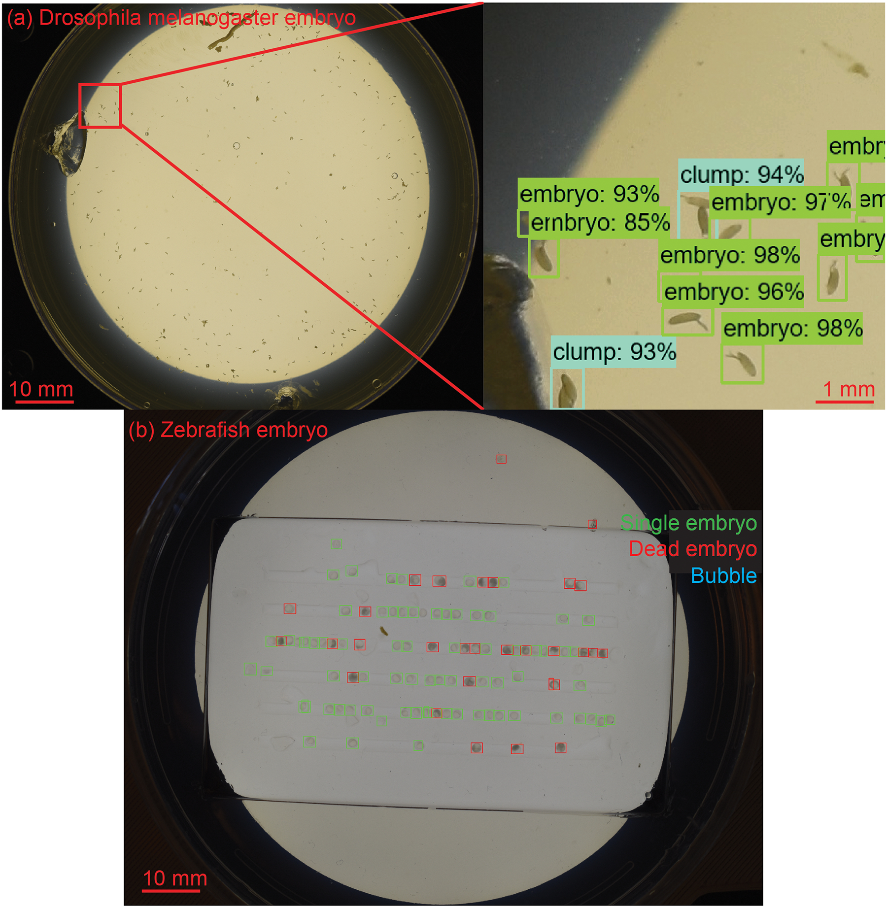 Figure 1: