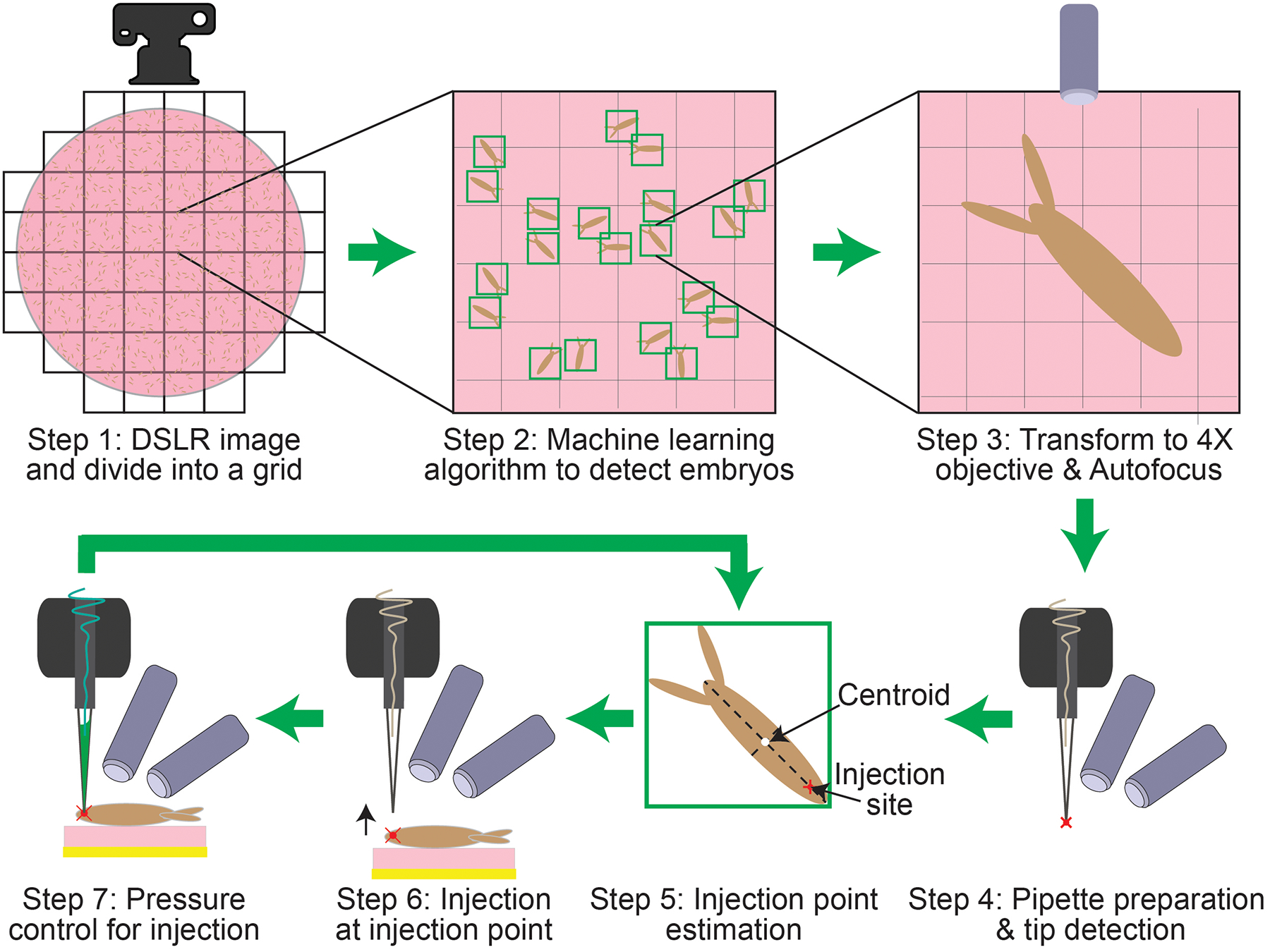 Figure 3: