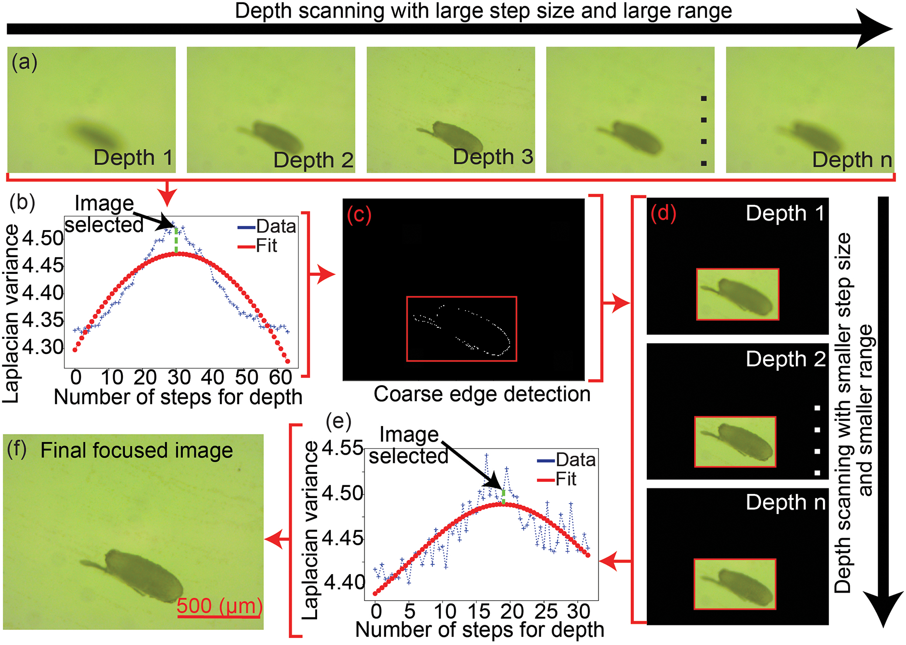 Figure 4: