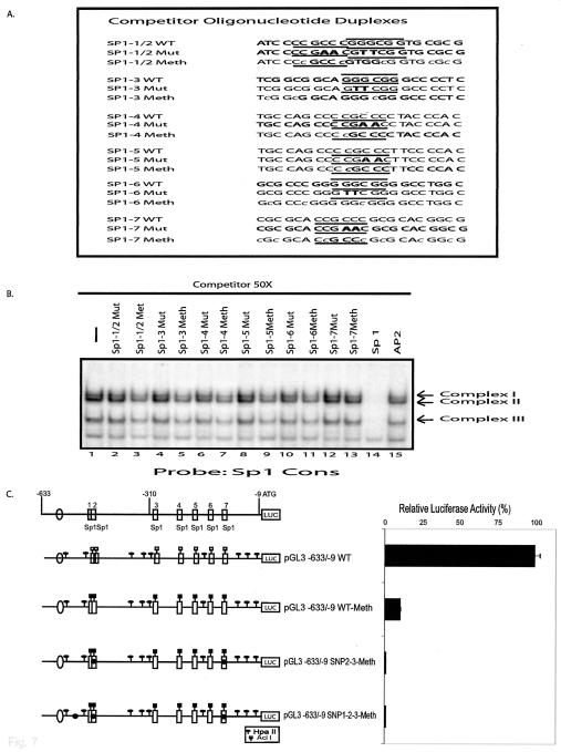 FIG. 7.