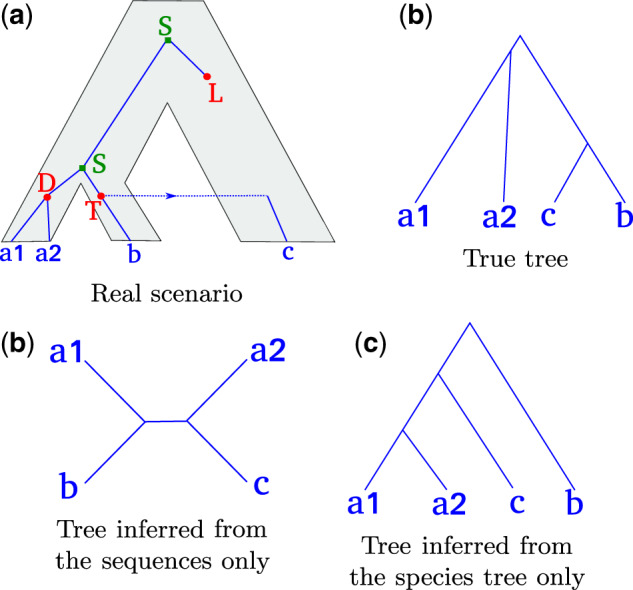 Fig. 1.