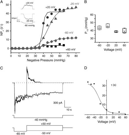 FIGURE 3