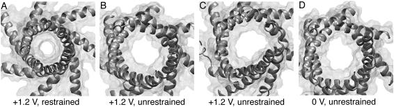 FIGURE 4