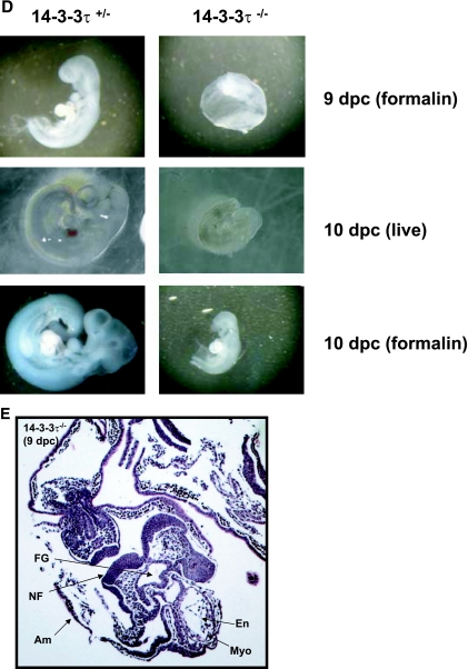 FIG.1.