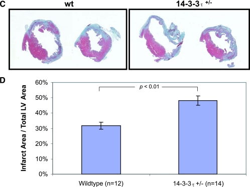 FIG.3.