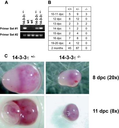 FIG.1.