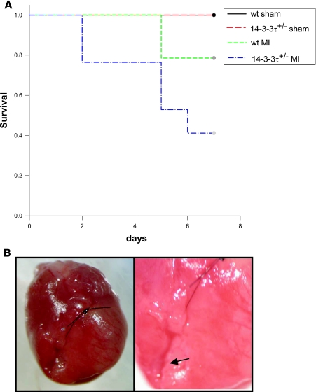 FIG.3.