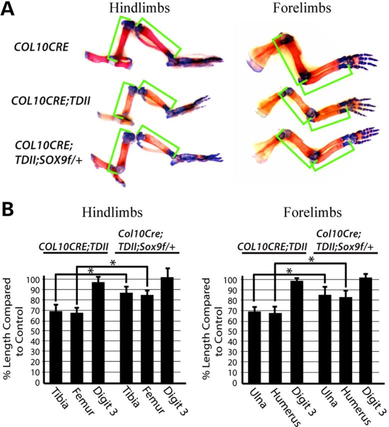 Figure 4.