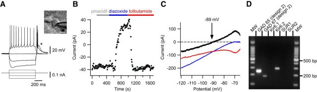 Figure 6.