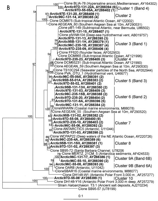 FIG. 5.