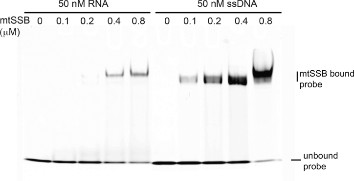 Figure 10.