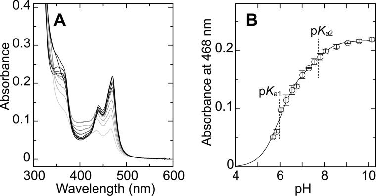 FIGURE 10.