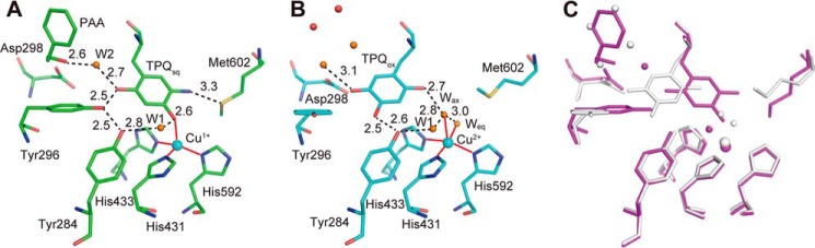 FIGURE 9.