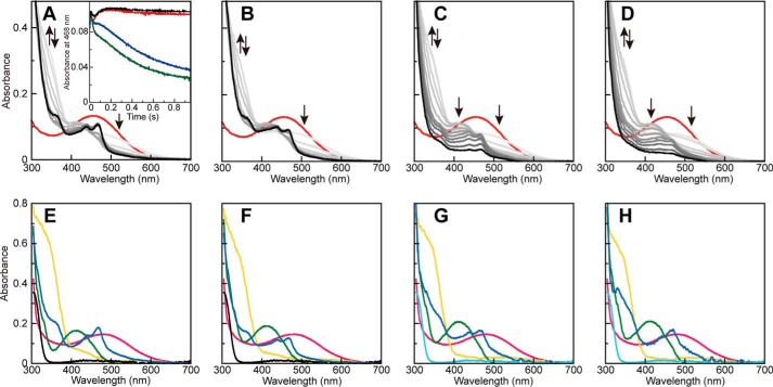 FIGURE 4.