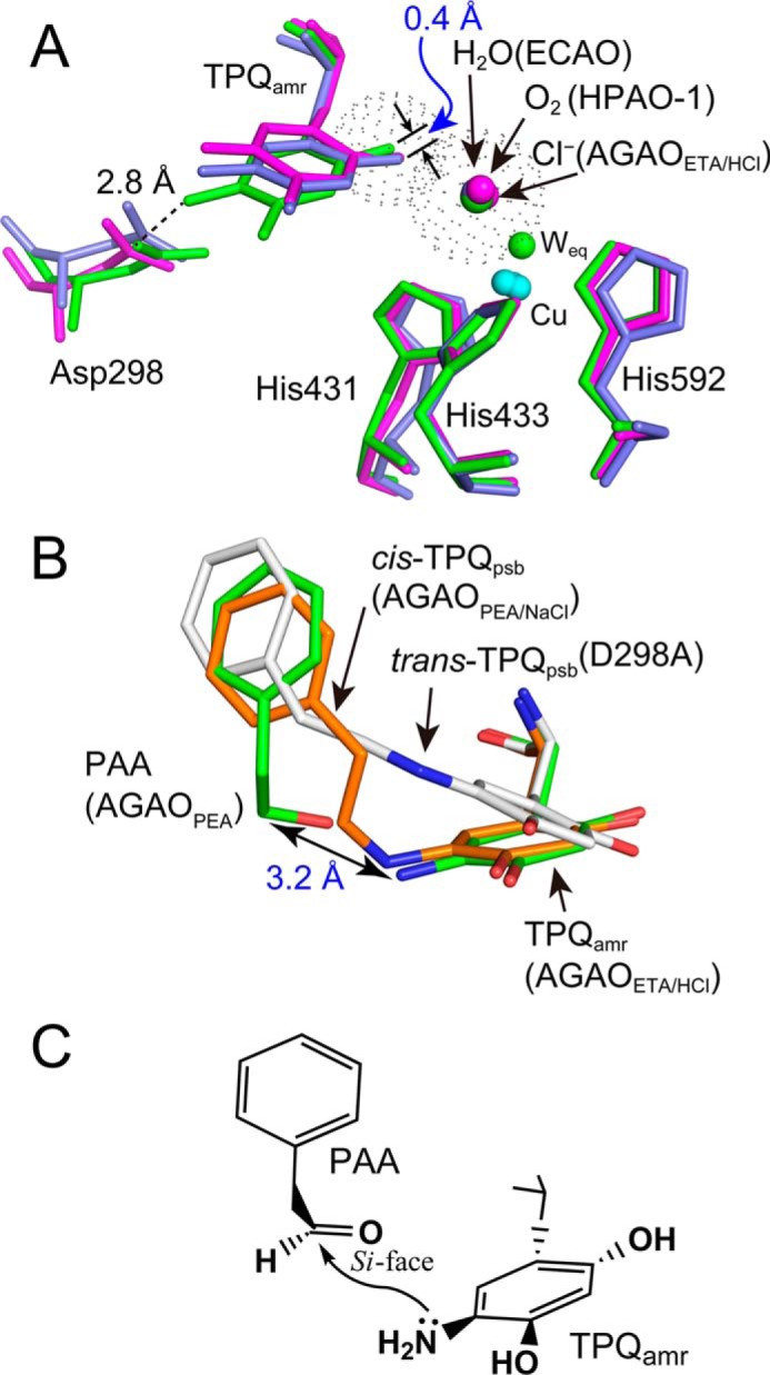 FIGURE 11.