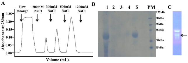 Fig 3