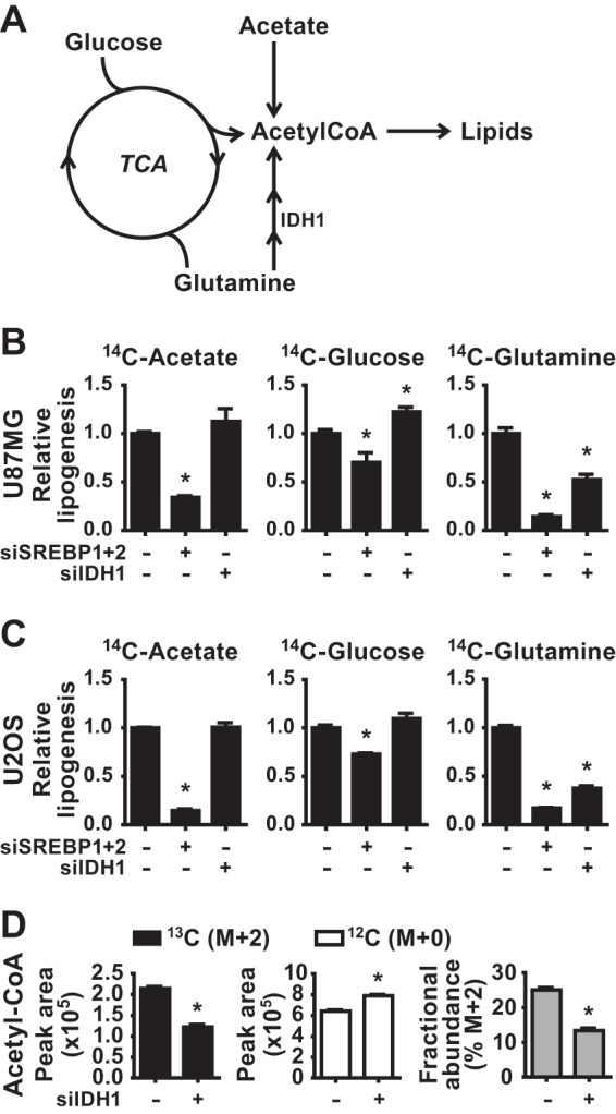 FIG 4