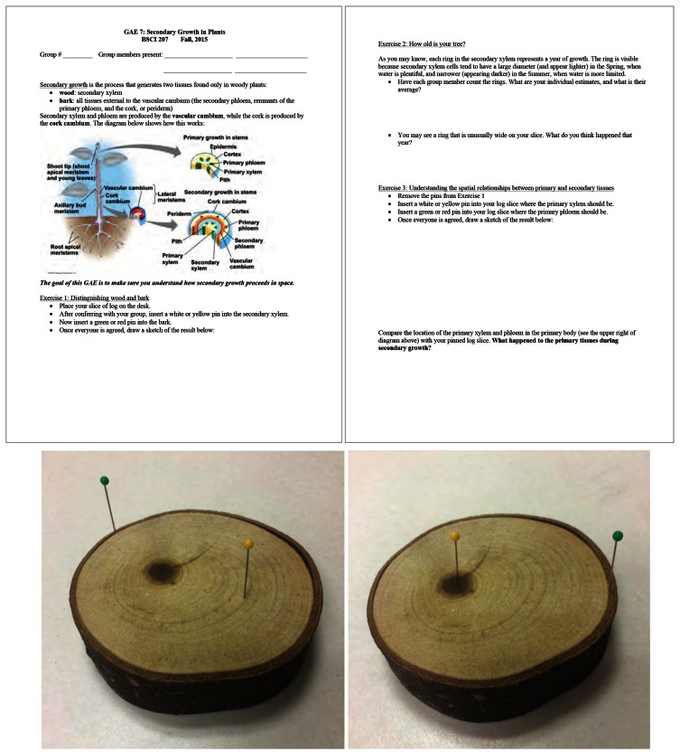 FIGURE 1