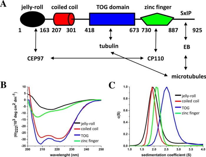 FIGURE 1.