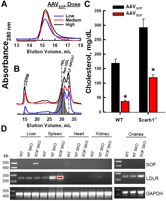 Fig. 2