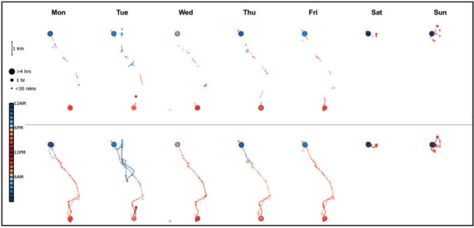 Fig. 3.