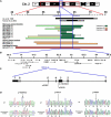 Figure 1