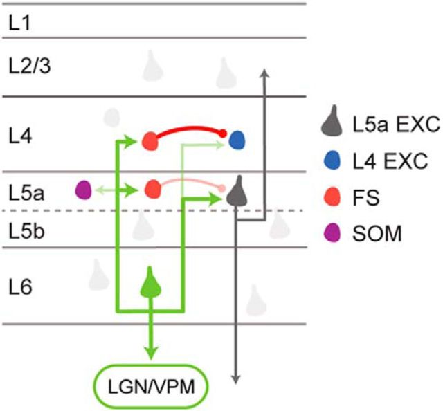 Figure 7.