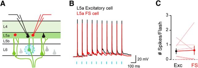 Figure 6.