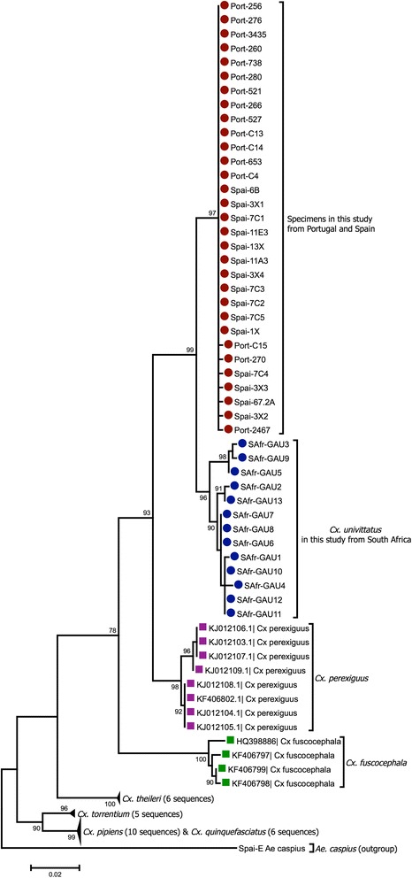 Fig. 4