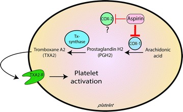 Fig. 1