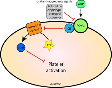 Fig. 2