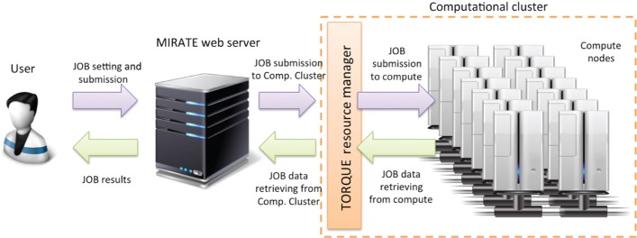 Figure 2: