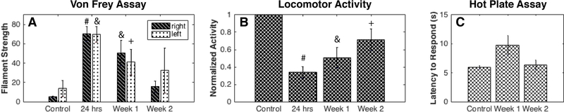 Figure 6: