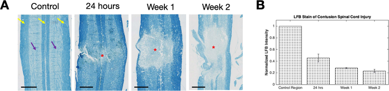 Figure 7: