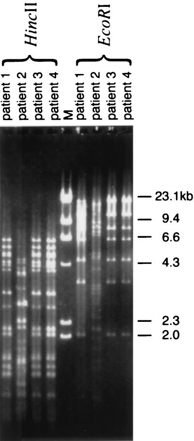 FIG. 2.