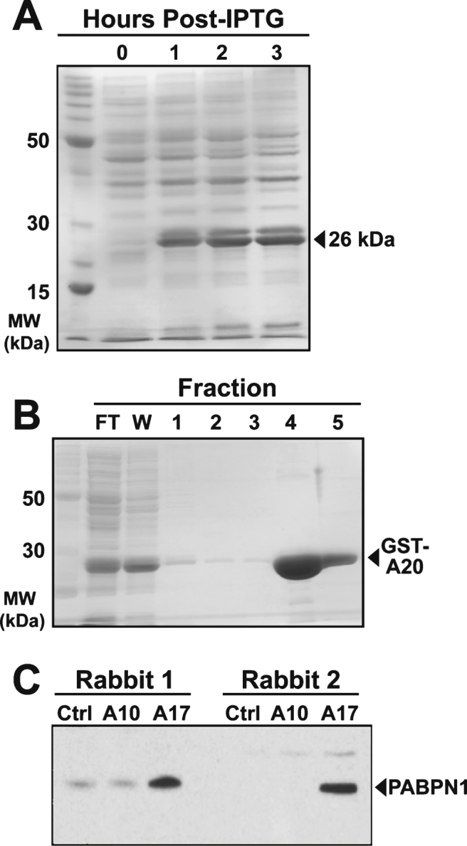 Fig.1