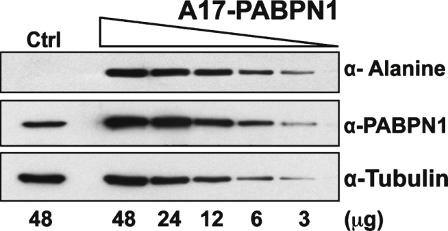 Fig.3