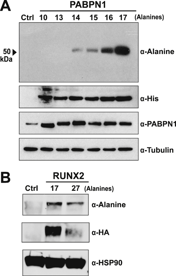 Fig.2