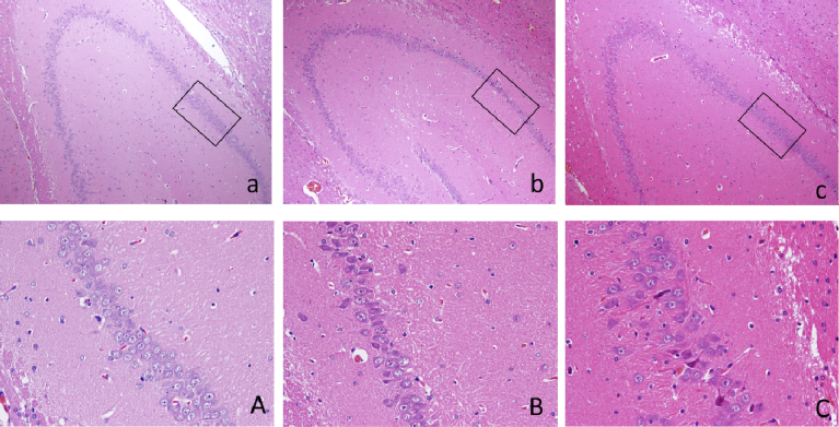 Fig. 2