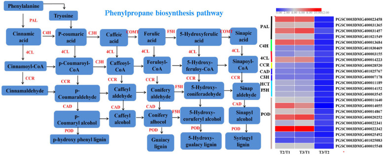 Fig. 10