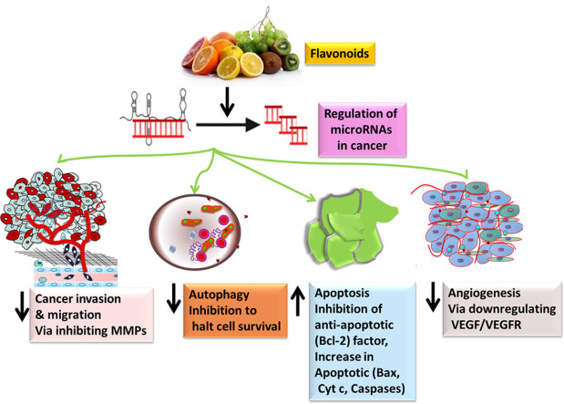 Image, graphical abstract