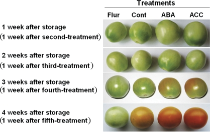 Fig. 6.