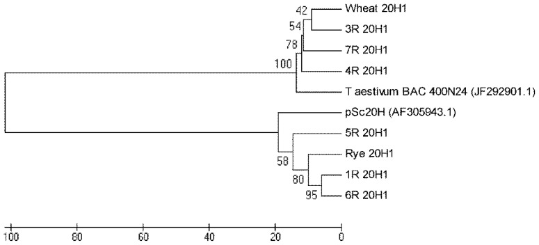 Figure 4